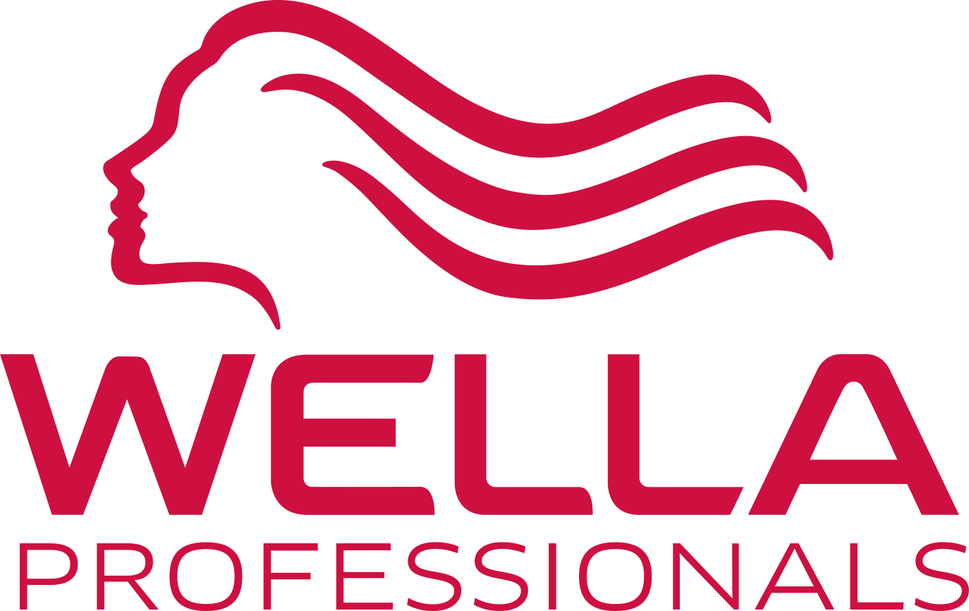 PNG_HighRes-Wella-Pro_Logo_09_4c_small